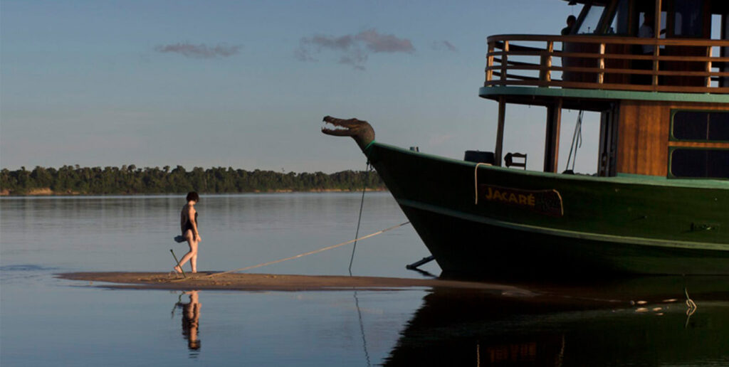 Turismo de conservação transforma viagens em experiências de impacto positivo
