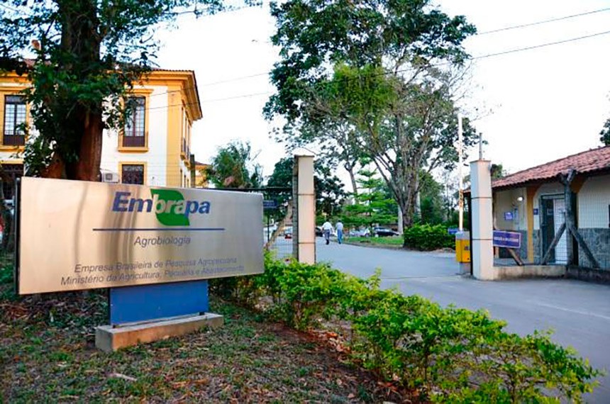 Foto: Gustavo Porpino | Embrapa
