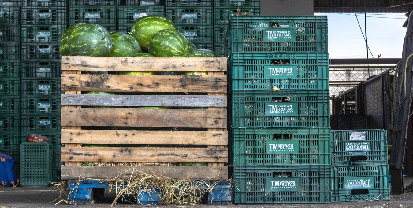 Foto: Andrea Lopes/iStock