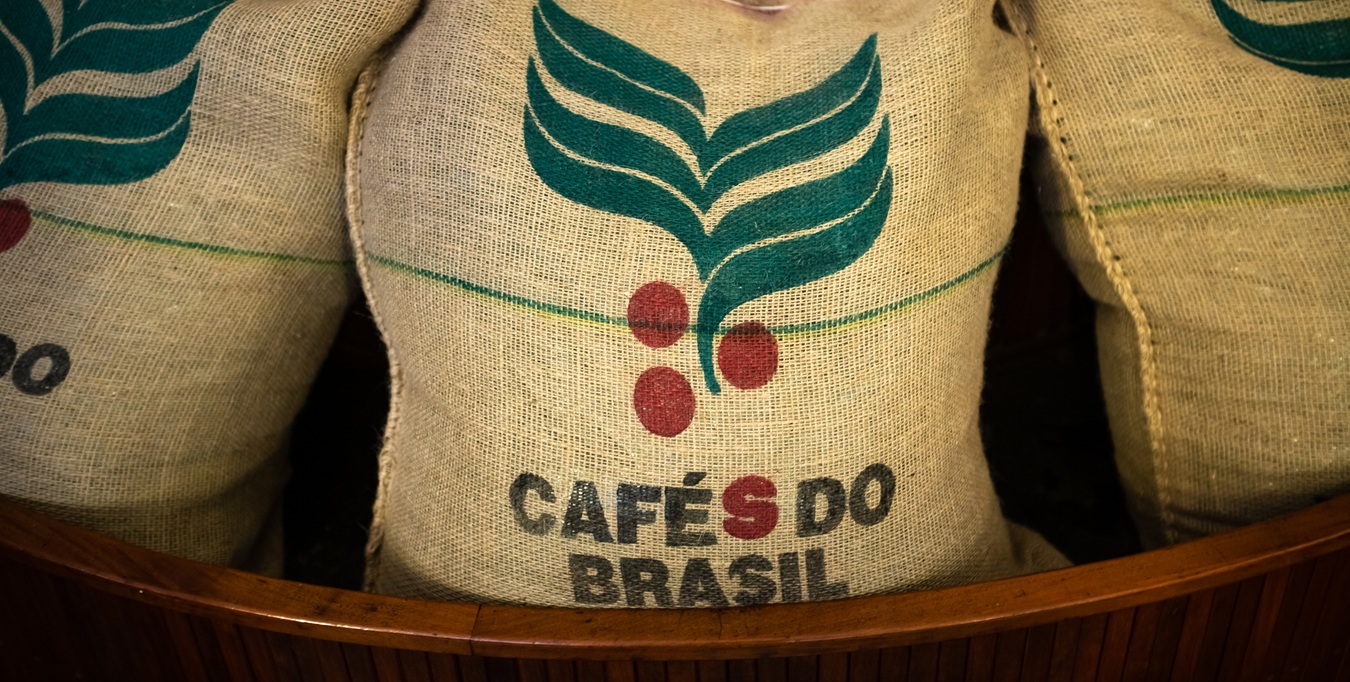 Foto: William Rodrigues dos Santos/iStock