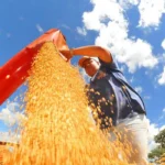 Foto: Prefeitura de Campo Grande/Divulgação