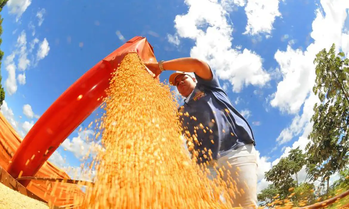 Foto: Prefeitura de Campo Grande/Divulgação