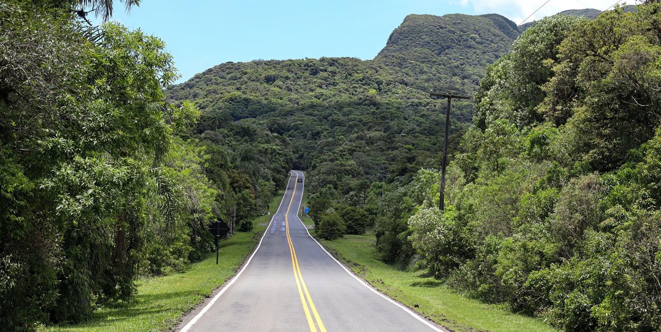Foto: Mario Sergio Andrioli/iStock