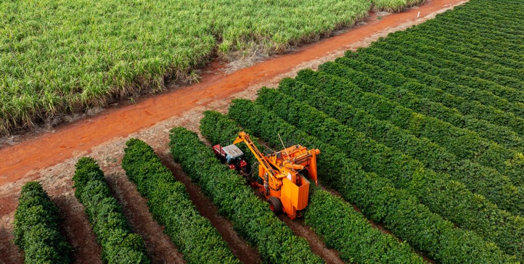 Foto: JR Slompo/iStock