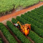 Foto: JR Slompo/iStock