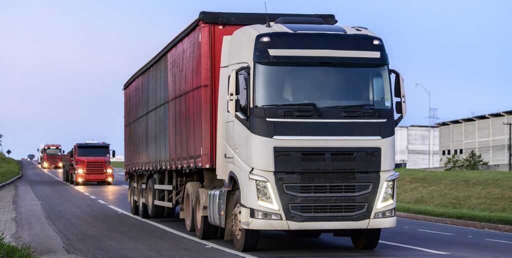 Foto: Cacio Murilo de Vasconcelos/iStock