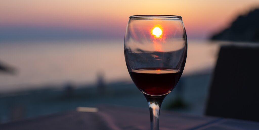 Punta Wine Trips transforma Punta del Este em polo de enoturismo na América do Sul