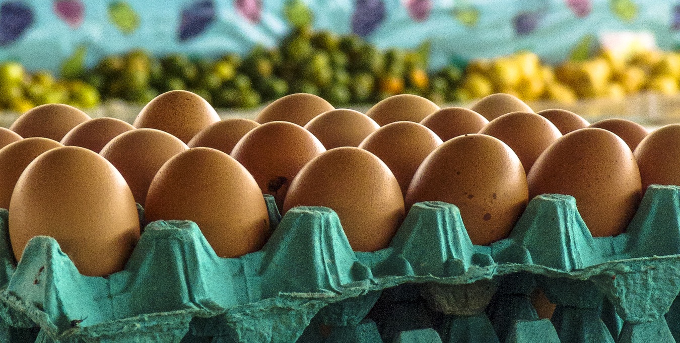 44% dos brasileiros dizem que economia piorou nos últimos 12 meses, aponta Quaest